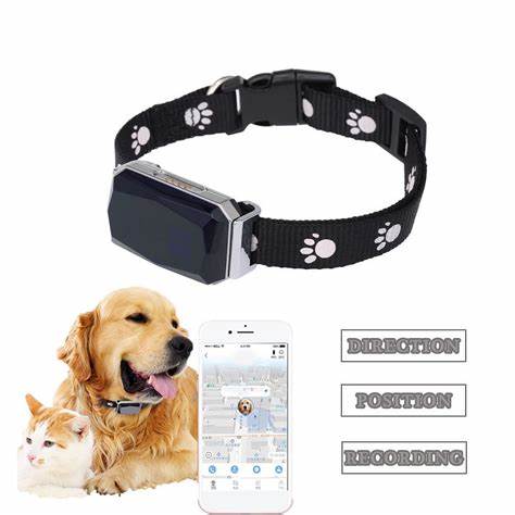 Smart GPS Pet Collar – Real-Time Tracker for Dogs & Cats
